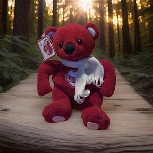 Taylor Sports WE CARE Bean Bag Collectibles BEAR 1999 2000 2001 WWKI Kokomo IN